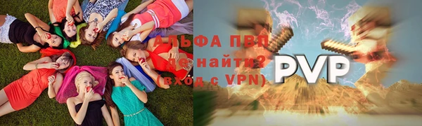 спиды Козловка